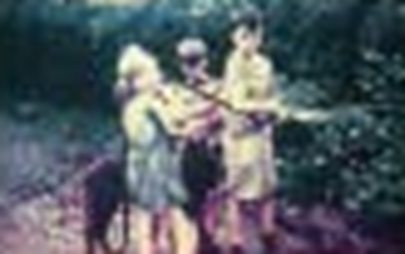 A rough bit of garden between the driveway and the hedge was ours to develop.